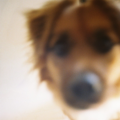 2bc3e64f-c004-4dd5-8dde-d670dc551a0b